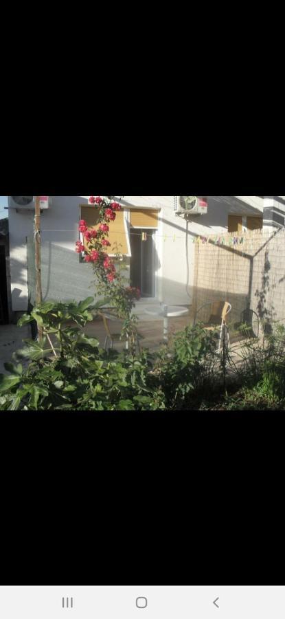 Basil Apartments And Rooms Betina  Exterior photo